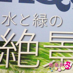 パートワン
